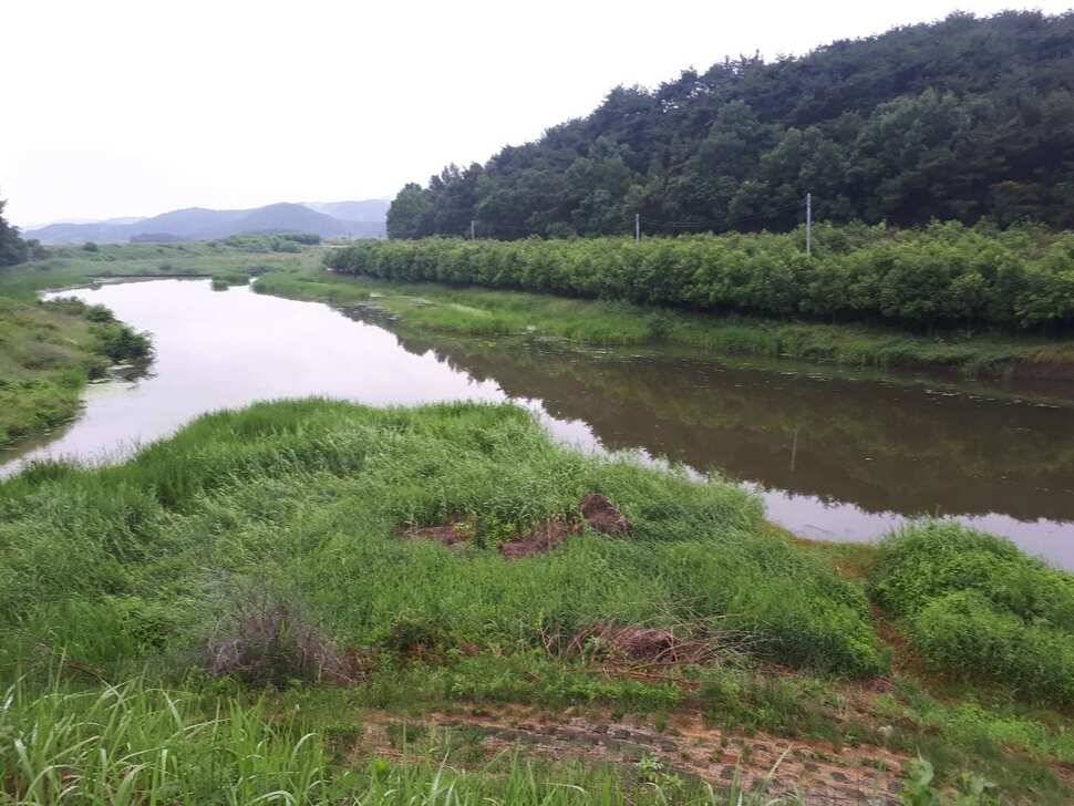 창녕권 저수지정보 (조황조행기 - 낚시점조황)