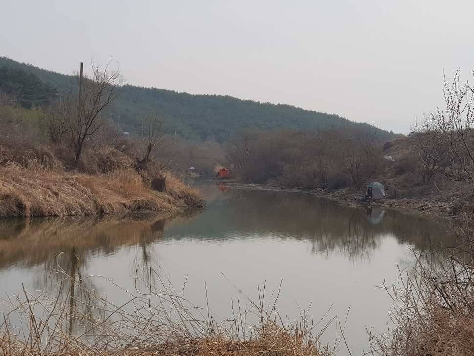 창녕권 조황 살아 나고 있습니다 (조황조행기 - 낚시점조황)