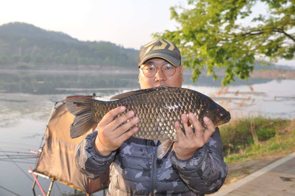 창녕권 514848월척 마릿수 (조황조행기 - 낚시점조황)