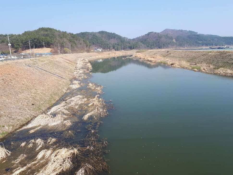 창녕권 붕어 (조황조행기 - 낚시점조황)
