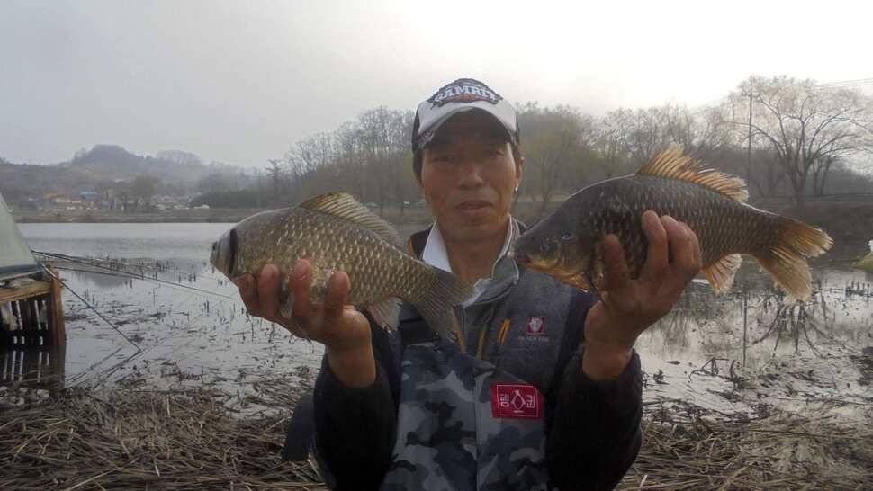 41cm39cm38cm대물조황 (조황조행기 - 낚시점조황)