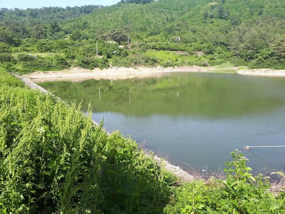 창녕권 토종터 (조황조행기 - 낚시점조황)