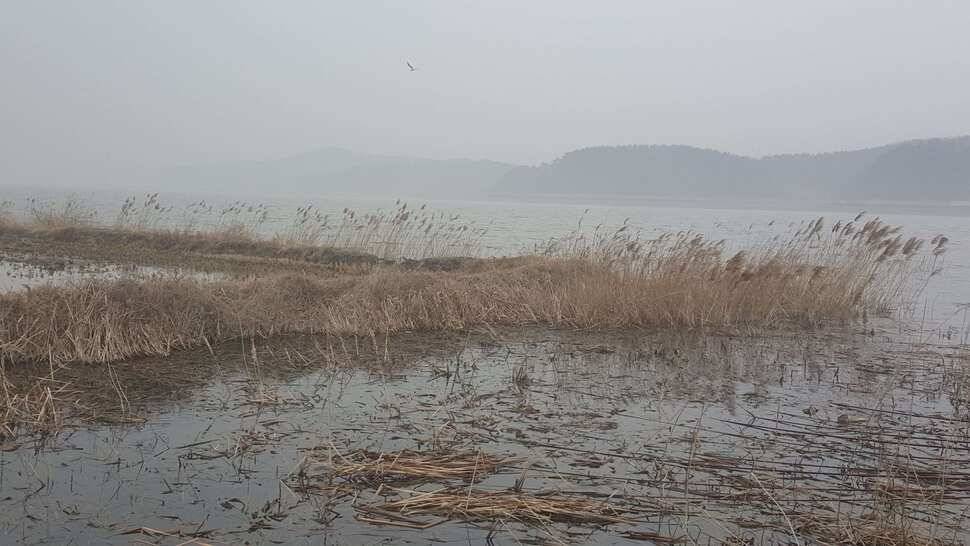 서산저수지 수로권 월척조황 (조황조행기 - 낚시점조황)