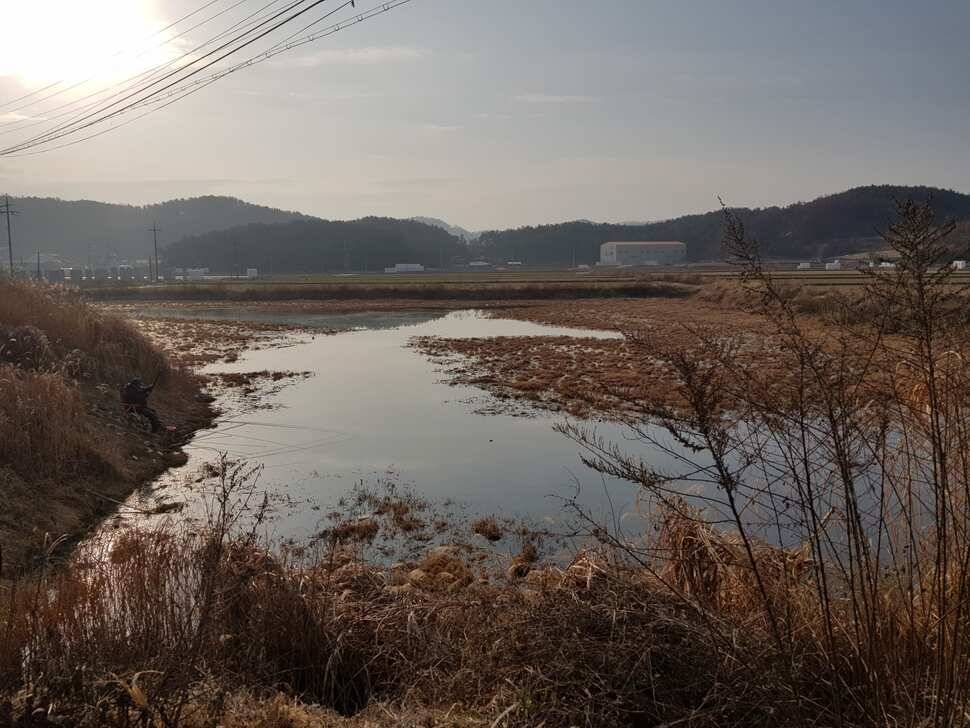 창녕 시즌 시작 (조황조행기 - 낚시점조황)