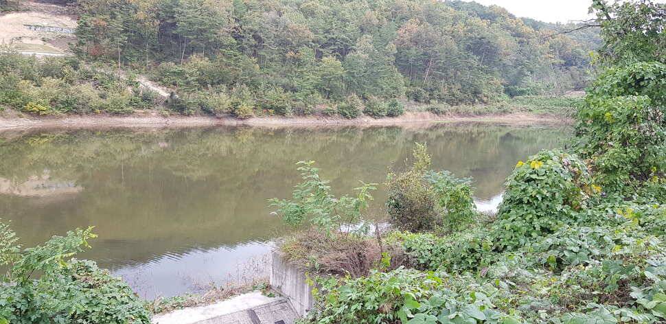 구미 붕어조황추수편 (조황조행기 - 낚시점조황)