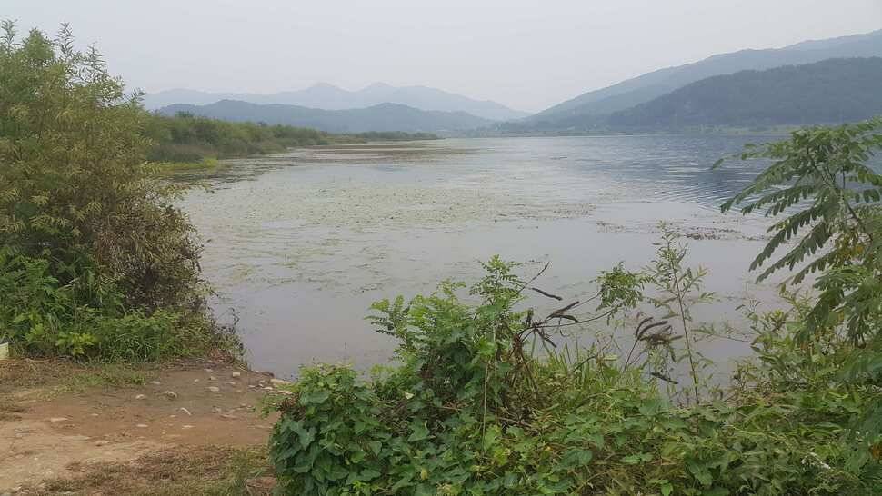 경북구미산호낚시조황소식 (조황조행기 - 낚시점조황)