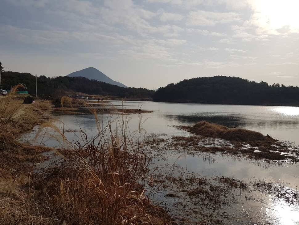 창녕 시즌 시작 (조황조행기 - 낚시점조황)