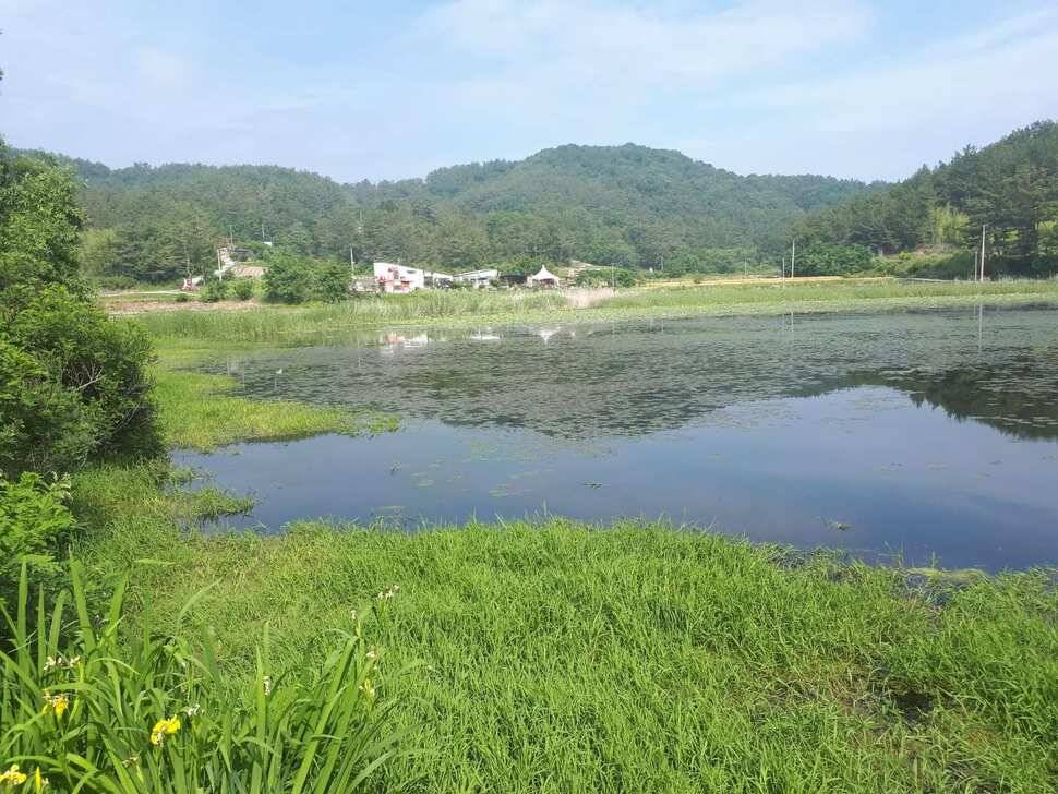 창녕권 저수지 탐사 (조황조행기 - 낚시점조황)