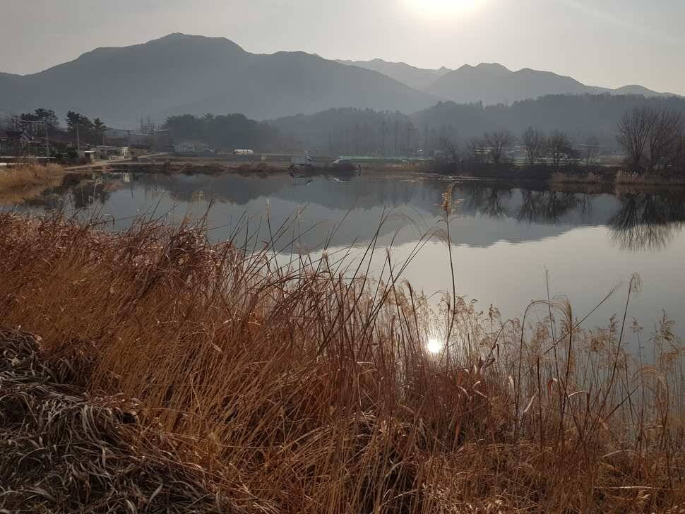 창녕 시즌 시작 (조황조행기 - 낚시점조황)