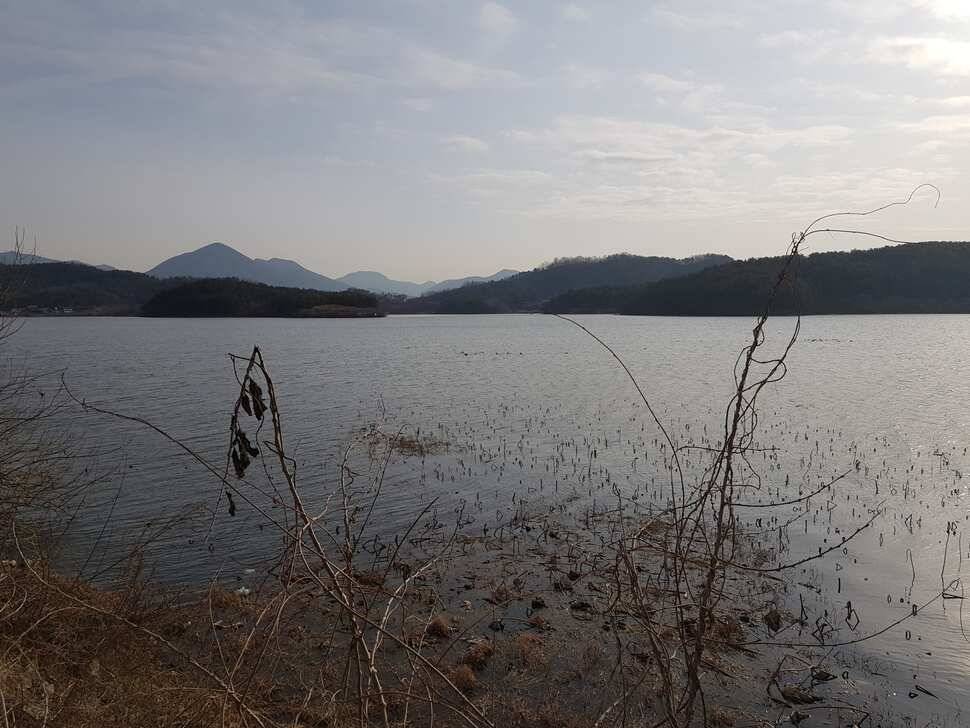 창녕 시즌 시작 (조황조행기 - 낚시점조황)