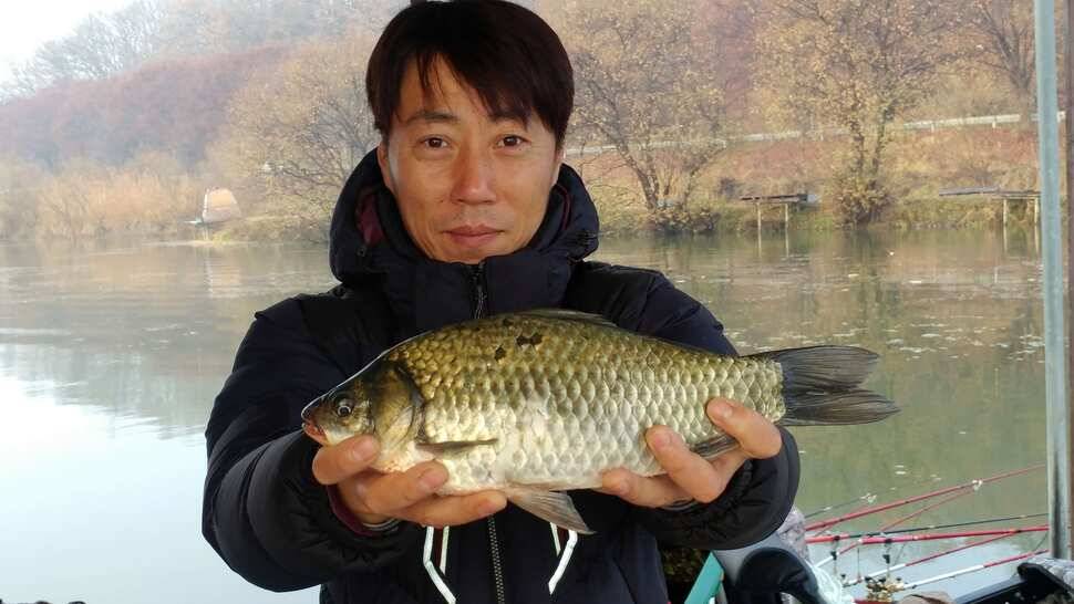 이박사대물및 마릿수 호조황 (조황조행기 - 낚시점조황)
