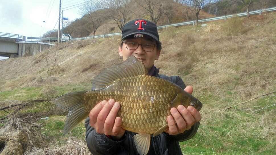 41cm40cm사짜 조황정보 (조황조행기 - 낚시점조황)