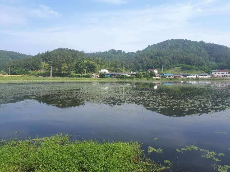 창녕권 저수지 탐사 (조황조행기 - 낚시점조황)