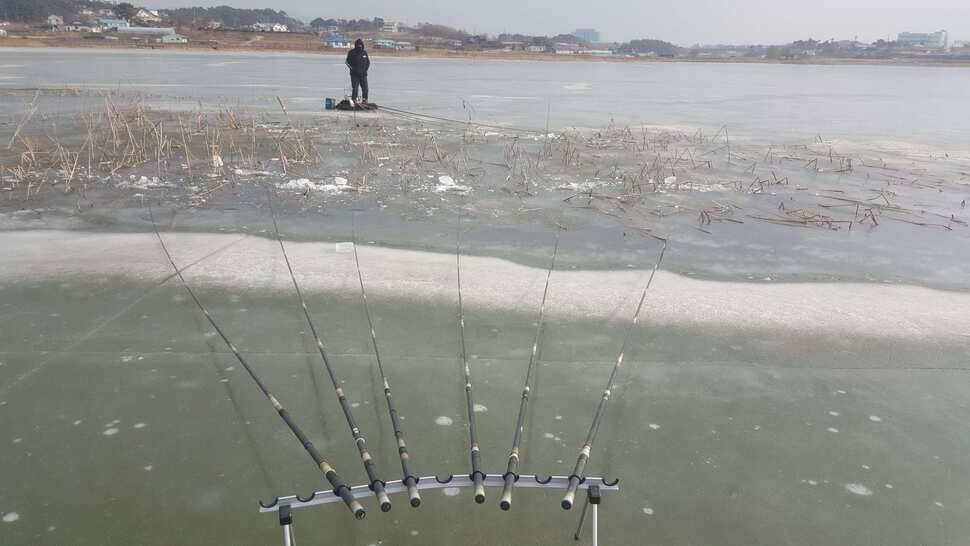 서산태안 얼음낚시 조황정보 (조황조행기 - 낚시점조황)