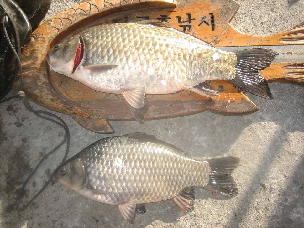 jum_johwang_8dd08_090125_51857.jpg