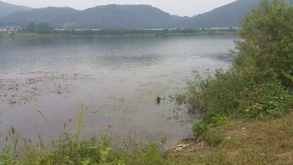 경북구미산호낚시조황소식 (조황조행기 - 낚시점조황)