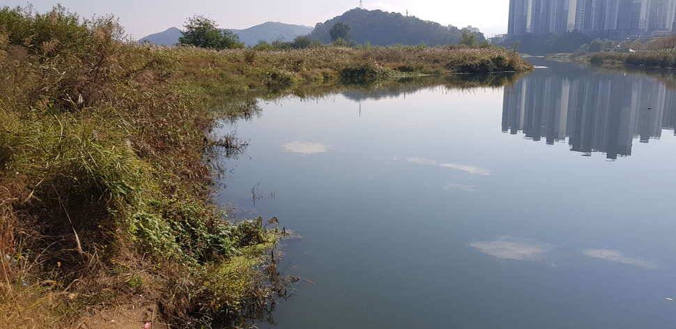 구미권 추석연휴 붕어조황 (조황조행기 - 낚시점조황)