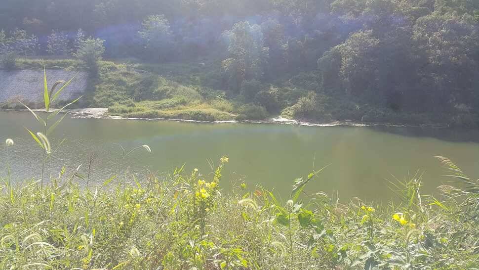 경북구미산호낚시조황소식 (조황조행기 - 낚시점조황)
