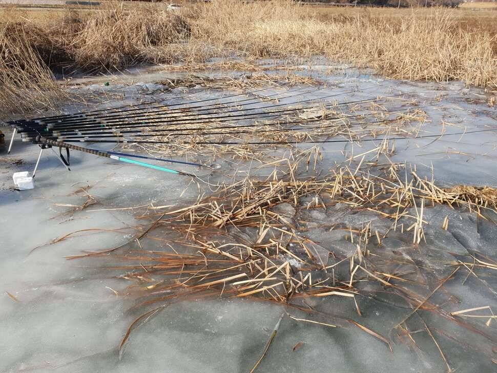 서태안권 얼음낚시 월척물낚시 시작 (조황조행기 - 낚시점조황)