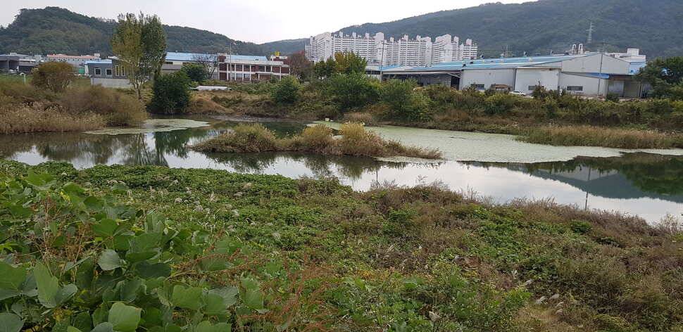구미 붕어조황추수편 (조황조행기 - 낚시점조황)