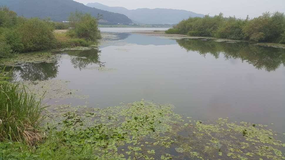 경북구미산호낚시조황소식 (조황조행기 - 낚시점조황)