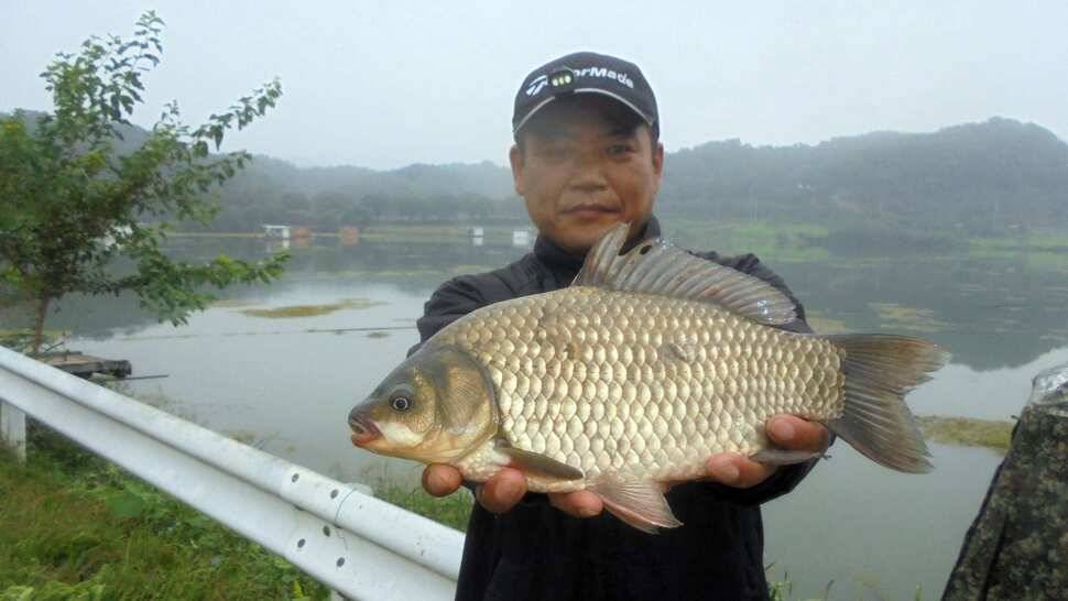 이박사낚시 조황정보 (조황조행기 - 낚시점조황)