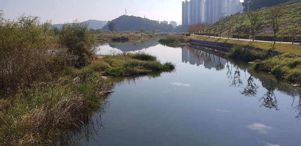 구미권 추석연휴 붕어조황 (조황조행기 - 낚시점조황)