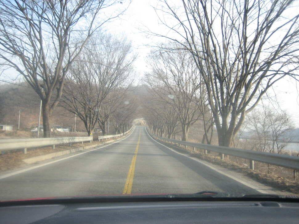 충주탄금호낚시대물41cm조황 (조황조행기 - 낚시점조황)