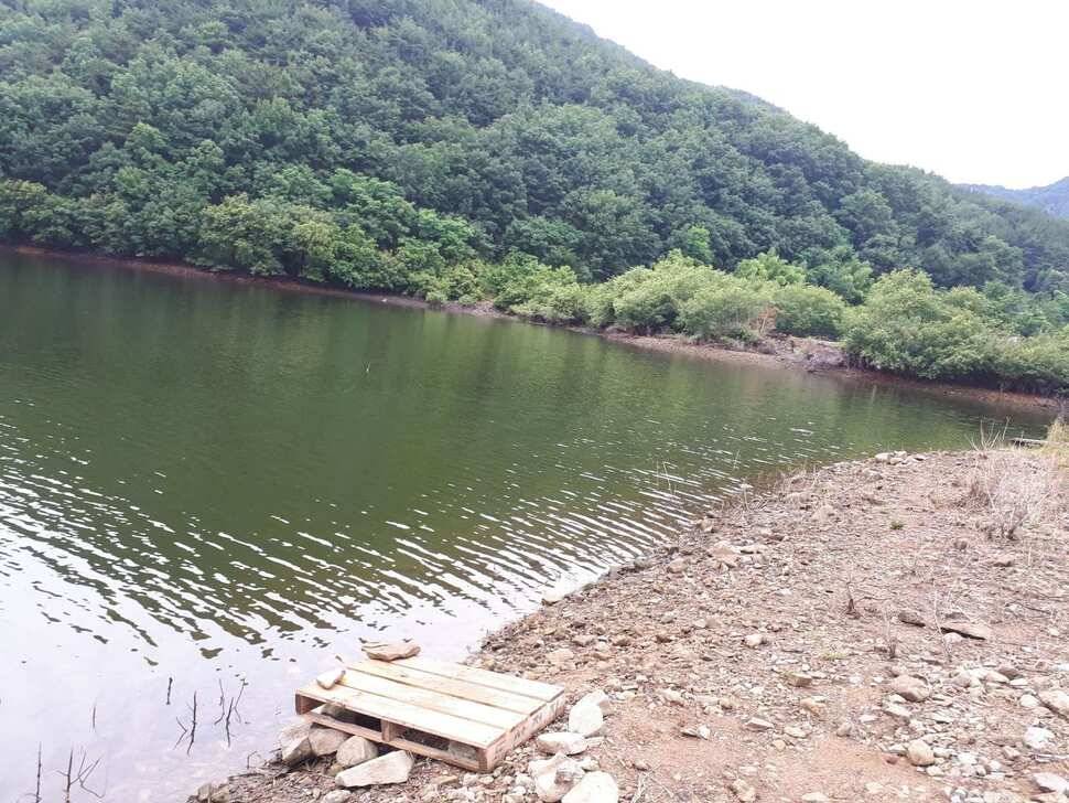 창녕권 저수지정보 (조황조행기 - 낚시점조황)