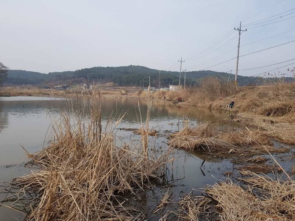 창녕권 조황 살아 나고 있습니다 (조황조행기 - 낚시점조황)