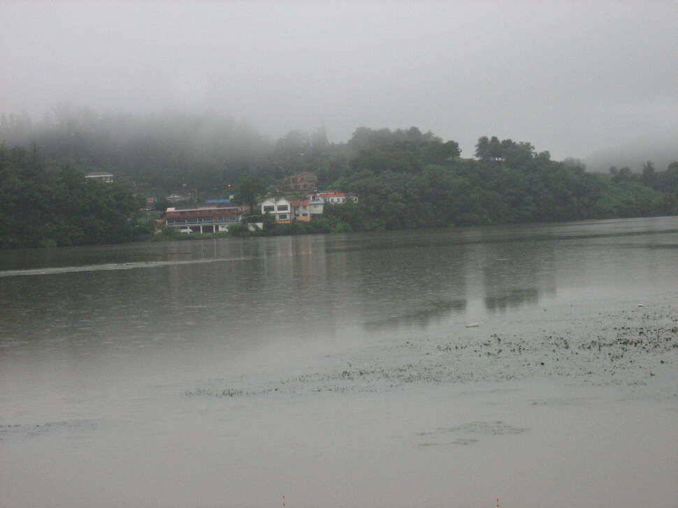 충주 탄금호 낚시조황 (조황조행기 - 낚시점조황)