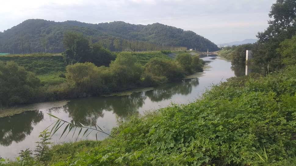 경북구미산호낚시조황소식 (조황조행기 - 낚시점조황)