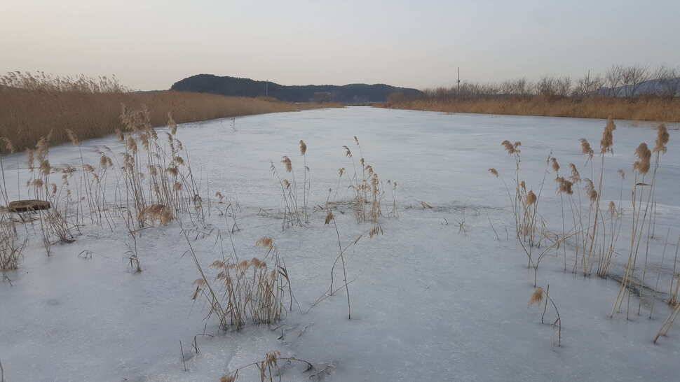 서산태안 얼음낚시 조황정보 (조황조행기 - 낚시점조황)