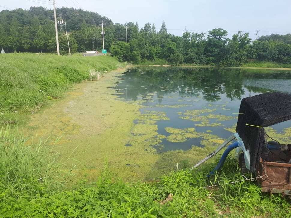 창녕권 저수지 탐사 (조황조행기 - 낚시점조황)