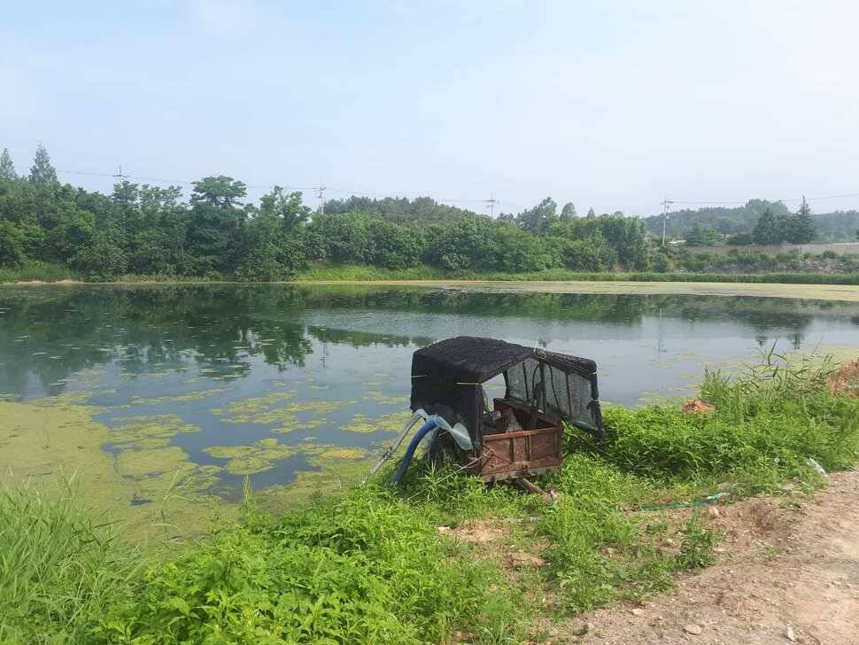 창녕권 저수지 탐사 (조황조행기 - 낚시점조황)