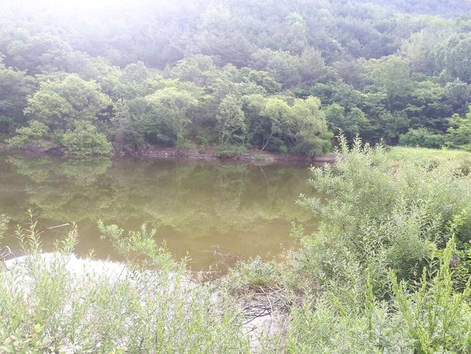 창녕권 저수지 탐사 (조황조행기 - 낚시점조황)