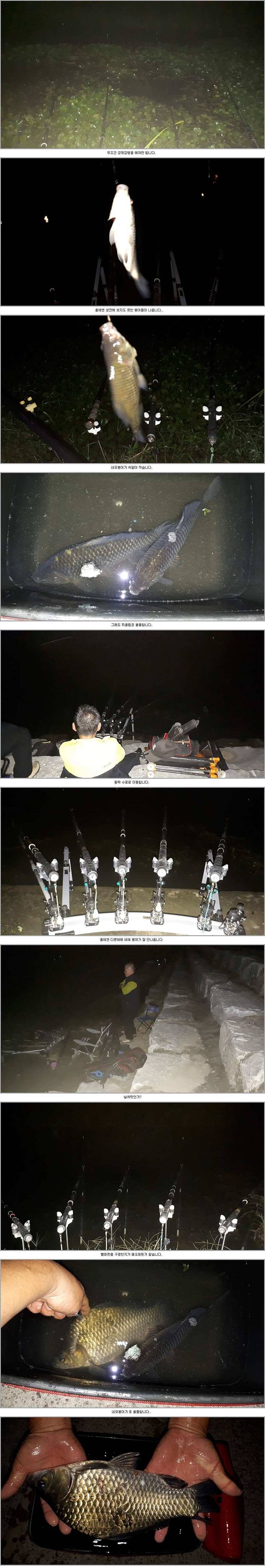 경북권구미권 10월1주차 조황정보 (조황조행기 - 낚시점조황)