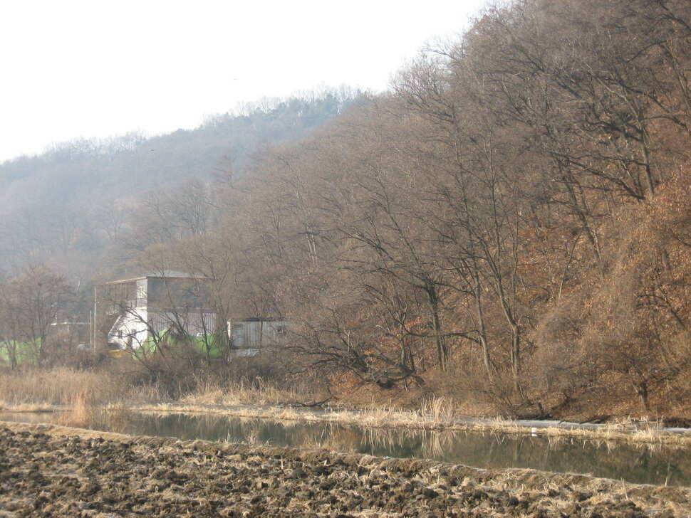 충주탄금호낚시조황 (조황조행기 - 낚시점조황)
