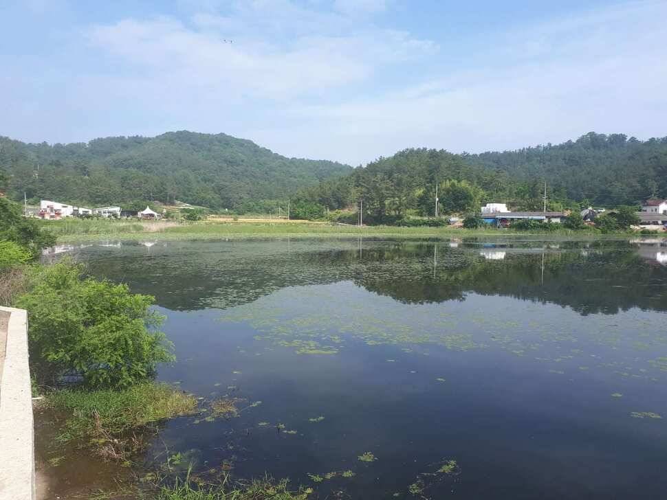 창녕권 저수지 탐사 (조황조행기 - 낚시점조황)