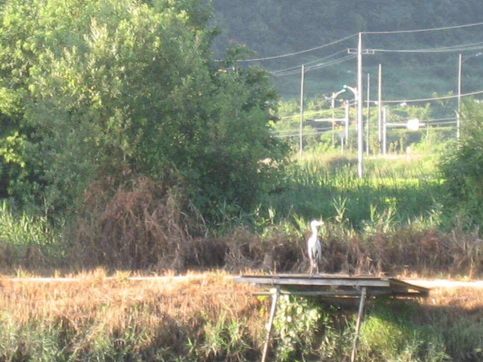 jum_johwang_b4de9_062047_66387.jpg