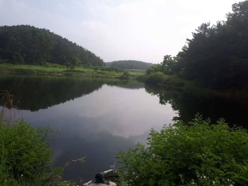창녕권 저수지 탐사 (조황조행기 - 낚시점조황)