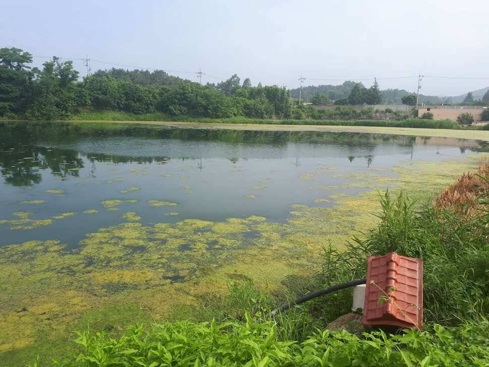 창녕권 저수지 탐사 (조황조행기 - 낚시점조황)