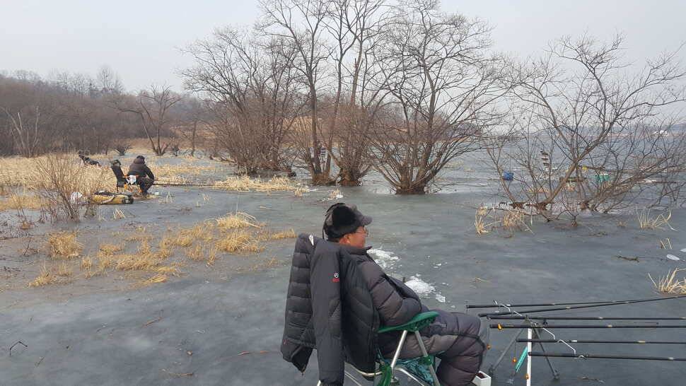 음성 내곡지 (조황조행기 - 낚시점조황)
