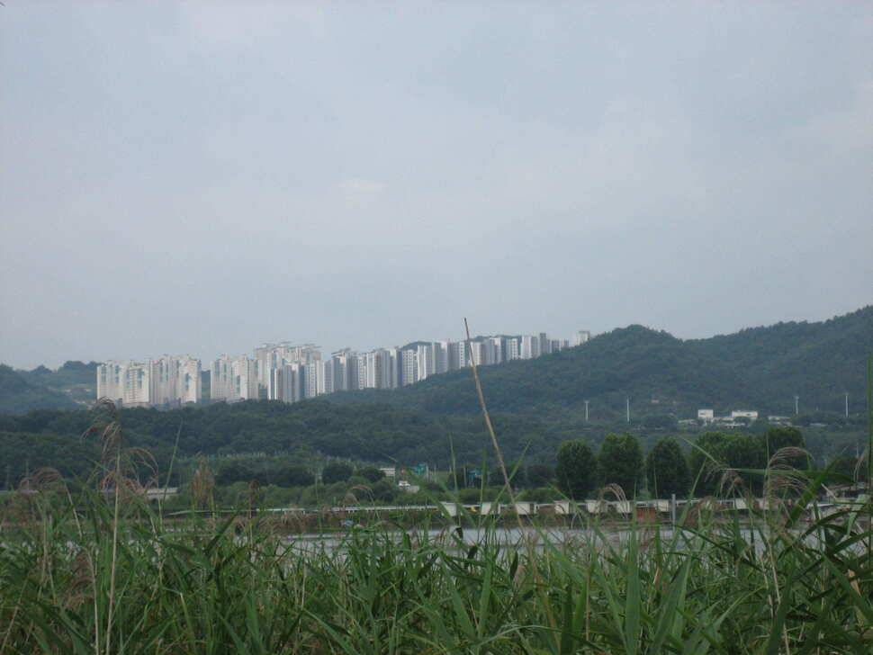 충주 탄금호 낚시조황 (조황조행기 - 낚시점조황)