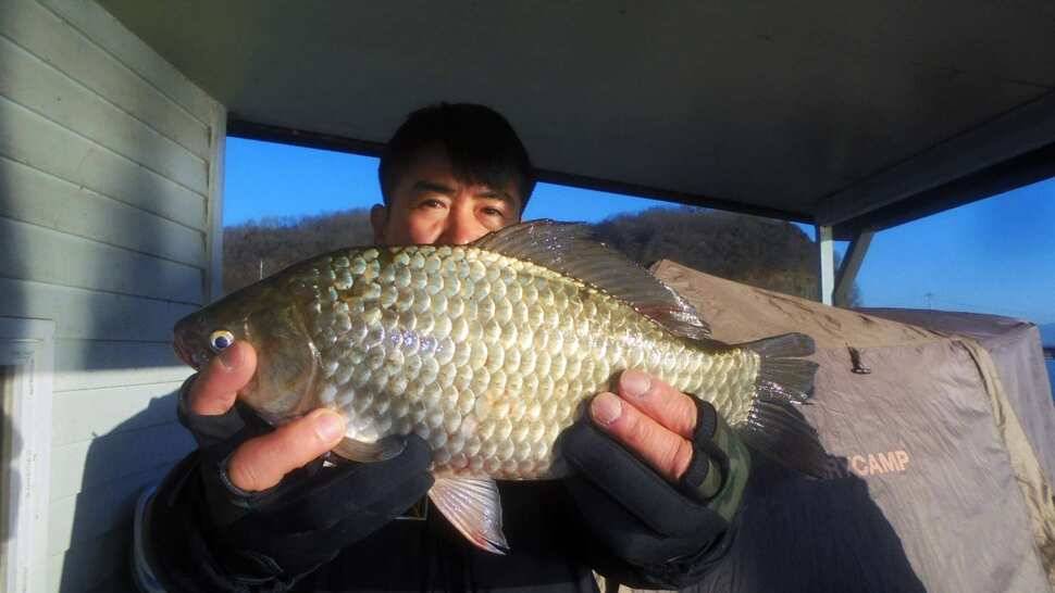 이박사낚시 조황정보 (조황조행기 - 낚시점조황)