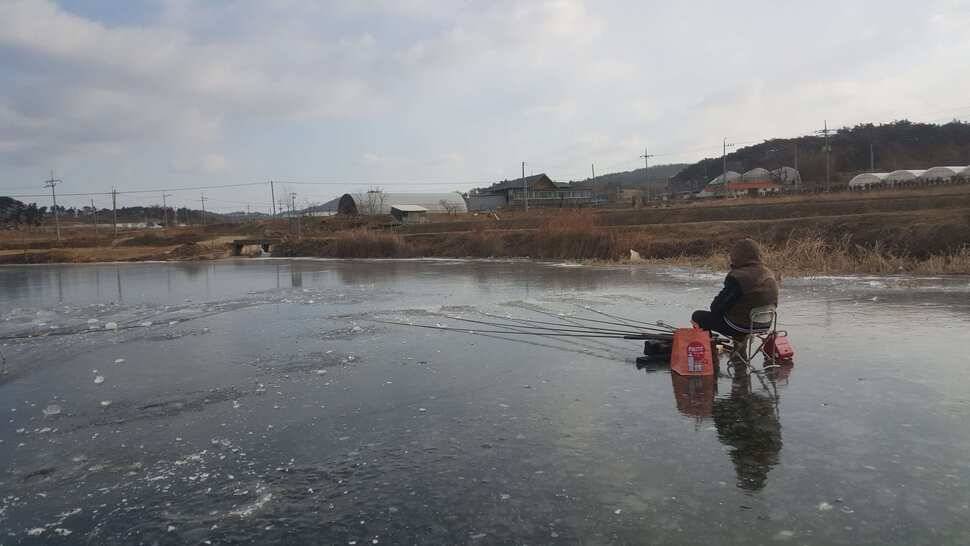 서산태안 얼음낚시 조황정보 (조황조행기 - 낚시점조황)
