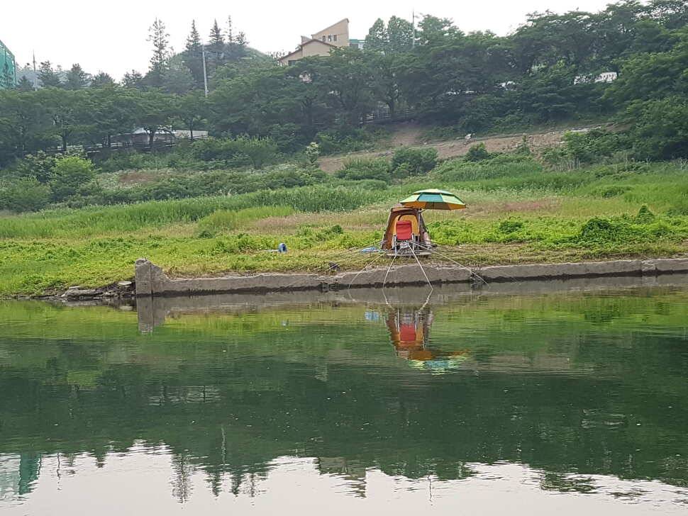 단양호 조황입니다 (조황조행기 - 낚시점조황)