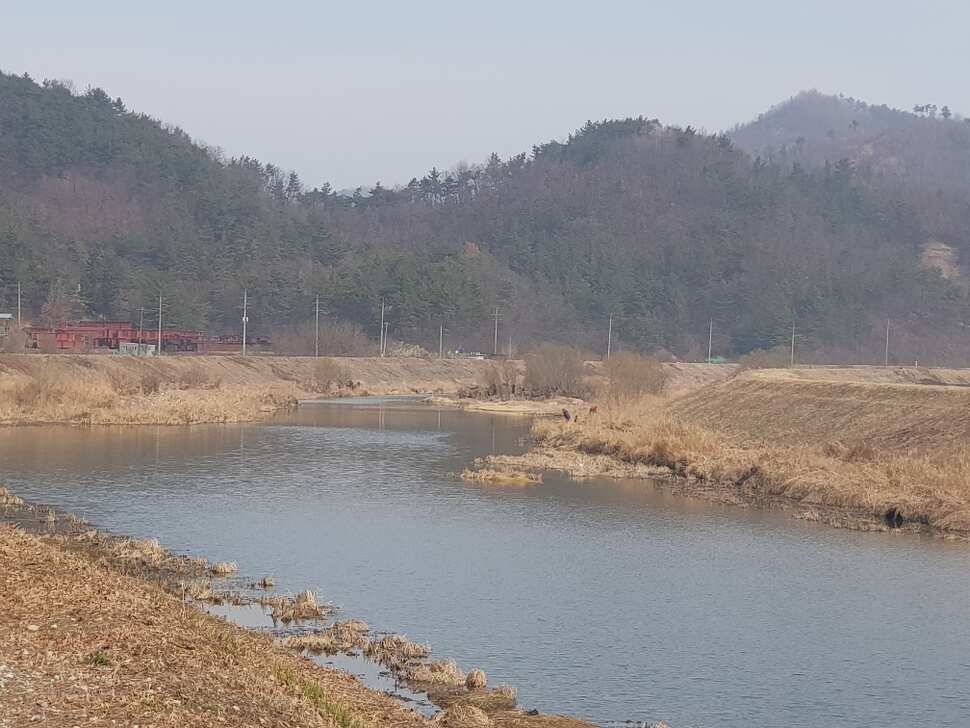 창녕권 조황 살아 나고 있습니다 (조황조행기 - 낚시점조황)