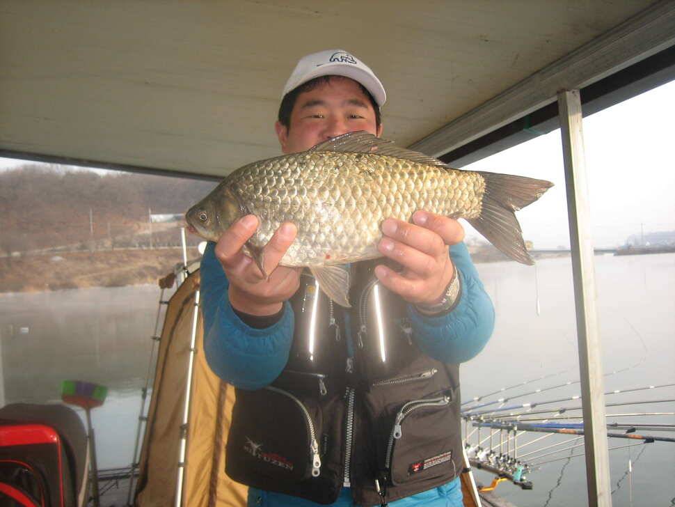 충주탄금호낚시대물41cm조황 (조황조행기 - 낚시점조황)