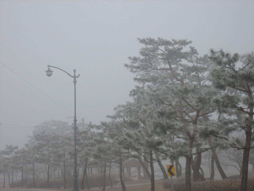 충주탄금호낚시조황 (조황조행기 - 낚시점조황)